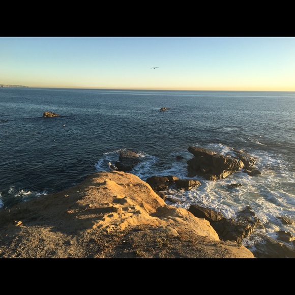 Meet the Posher - Picture 3 of 3